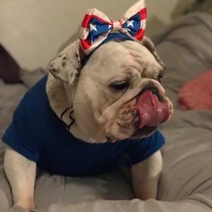 Meet your Posher, Lereleresa